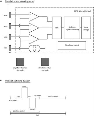 Electrophysiological Responses in the Human S3 Nerve During Sacral Neuromodulation for Fecal Incontinence